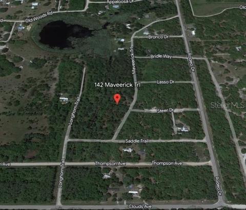 142 Maverick Trl, Interlachen, FL 32148 photo 1