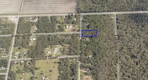 3591 Arbor Ave, Bunnell, FL 32110