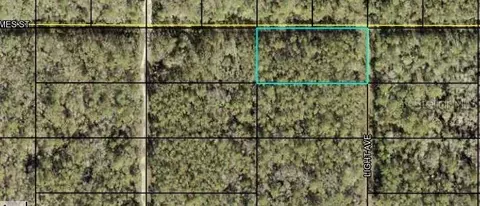 X Light Avenue, Hastings, FL 32145
