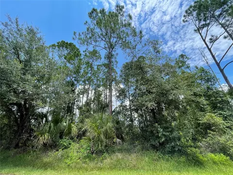 1 Karanda Ct, Palm Coast, FL 32164