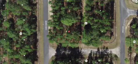 7779 N Quibble Ave, Citrus Springs, FL 34434