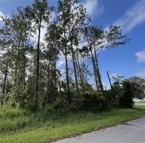 54 Boxwood Ln, Palm Coast, FL 32137