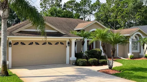 11 Winterling Pl, Palm Coast, FL 32164