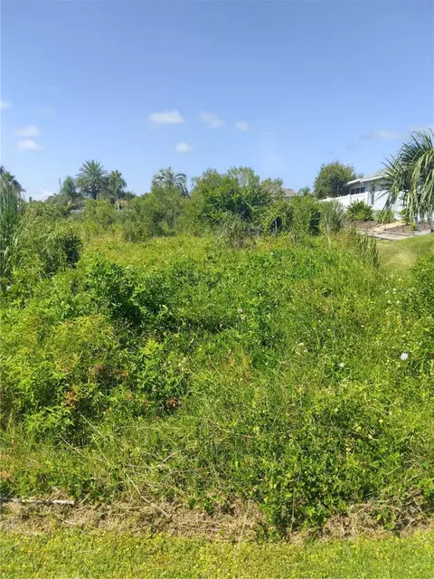31 Cottonwood Trl, Palm Coast, FL 32137