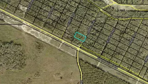 Harry Avenue, Hastings, FL 32145