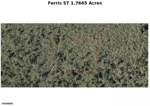 Ferris Street, Lake Helen, FL 32744
