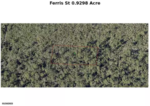 Ferris Street, Lake Helen, FL 32744