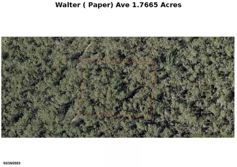 Walter Paper Avenue, Lake Helen, FL 32744