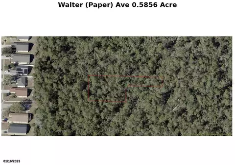 Walter Paper Avenue, Lake Helen, FL 32744