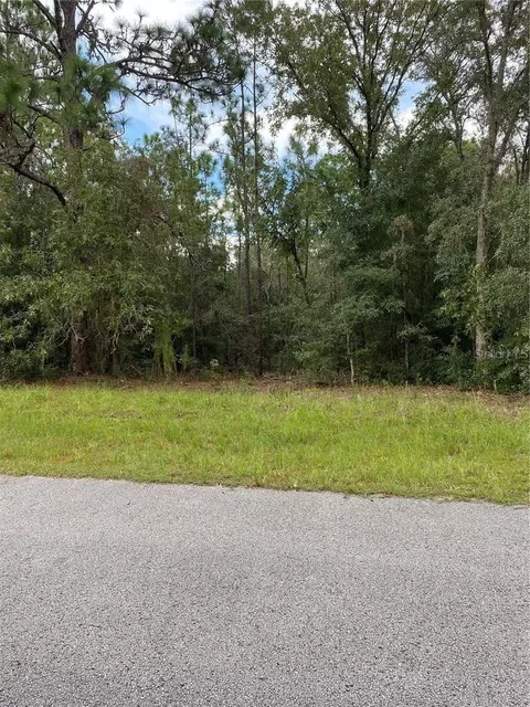 1403 W Mineral Ct, Hernando, FL 34442