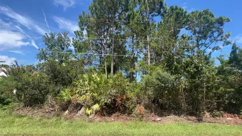 100 Bud Hollow Dr, Palm Coast, FL 32137