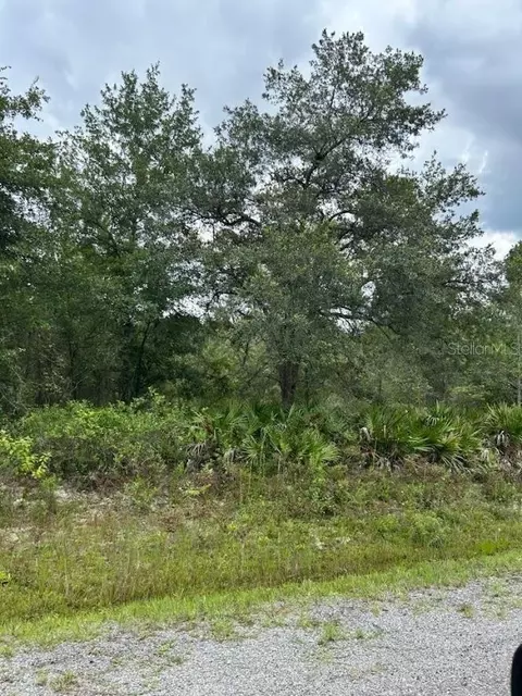 9615 Nikolich Ave, Hastings, FL 32145