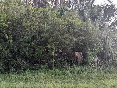 4635 Calvin, Hastings, FL 32145