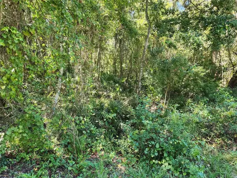 Ridgeline Avenue, Satsuma, FL 32189