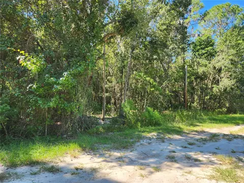 143 Atkins Rd, Georgetown, FL 32139