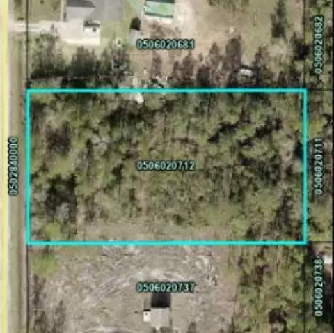 10230 Carpenter Ave, Hastings, FL 32145