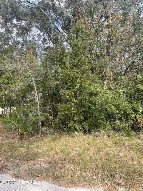 165 Falcon Fire Pl, Bunnell, FL 32110