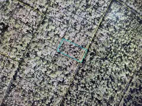 Nnn Randi Avenue, Hastings, FL 32145