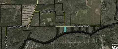 0 SW Dragon Way, Jasper, FL 32052