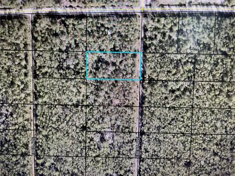 Nnn Ebert Ave, Hastings, FL 32145