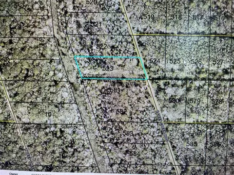 Nnn E. Deep Creek Boulevard, Hastings, FL 32145