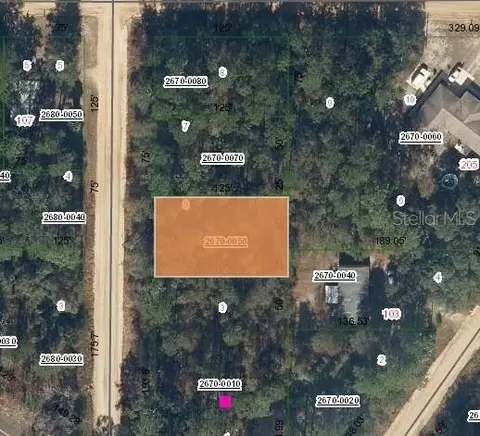 Nn Martha Avenue, Interlachen, FL 32148