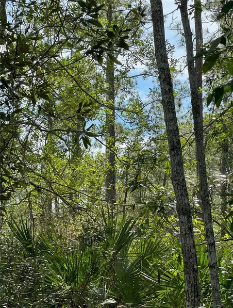 Quail Nest Lane, New Smyrna Beach, FL 32168
