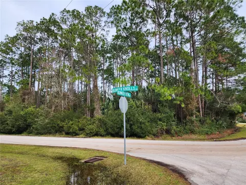 2 Bunker Knolls Ln, Palm Coast, FL 32137