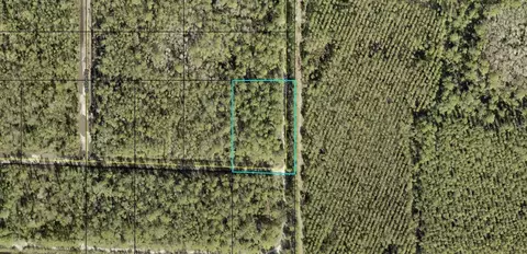 Nn Amos Avenue, Hastings, FL 32145