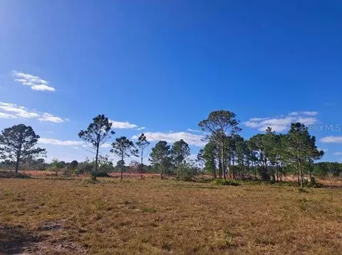 Lariat, Lorida, FL 33857
