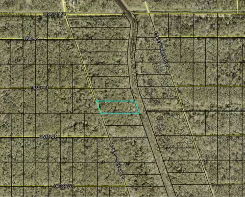 W Deep Creek Boulevard, Hastings, FL 32145