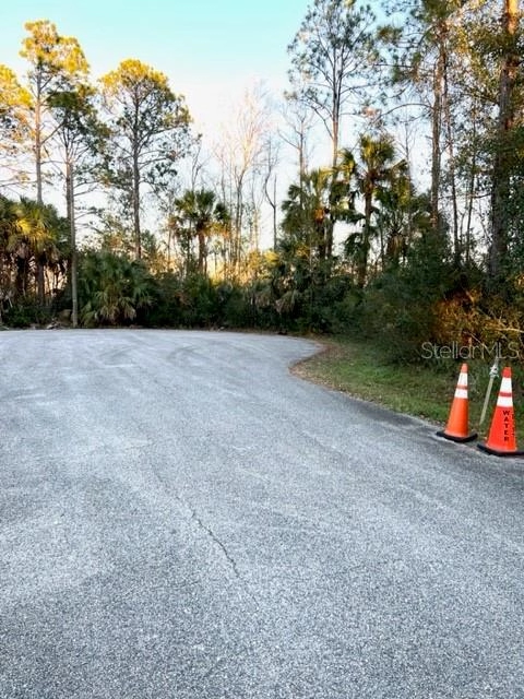 40 Squash Blossom Trl  