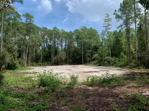 1657 Papaya St, Bunnell, FL 32110
