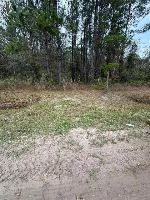 Florence Street, Hastings, FL 32145