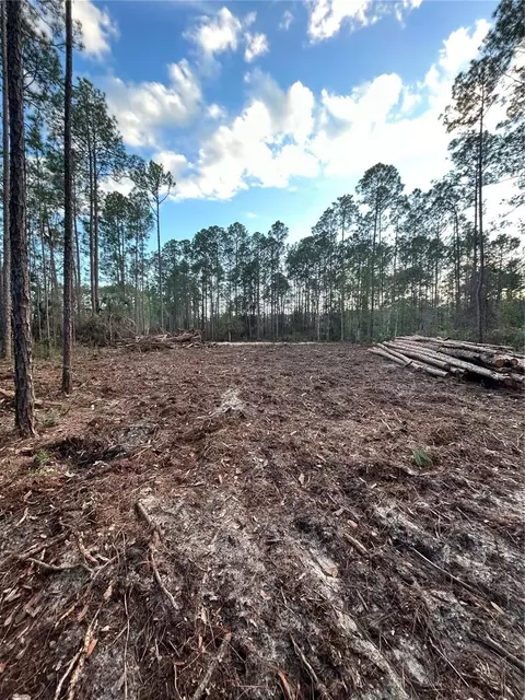 5297 Walnut Ave, Bunnell, FL 32110