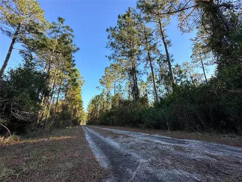 143 Roebuck St, Georgetown, FL 32139