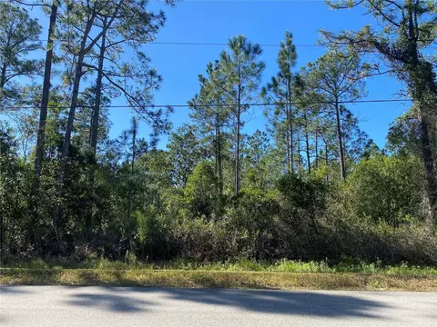2724 Lancewood St, Bunnell, FL 32110