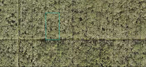 Nn Jan Street, Hastings, FL 32145