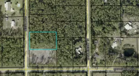 1425 Beech Blvd, Bunnell, FL 32110