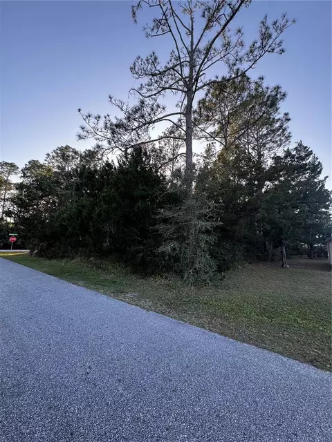 1 Ranwood Ln, Palm Coast, FL 32164