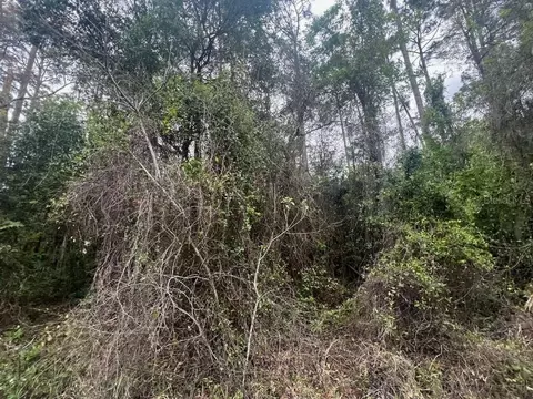 24 Second Path, Palm Coast, FL 32137 photo 1