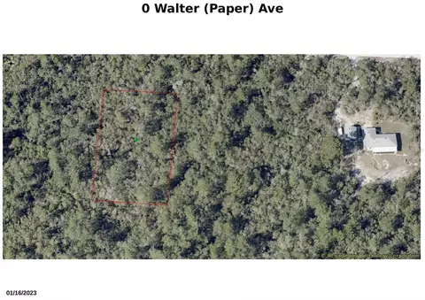 Walter Paper Avenue, Lake Helen, FL 32744