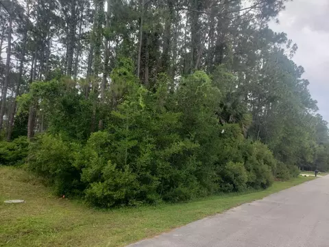 17 Ryall Ln, Palm Coast, FL 32164