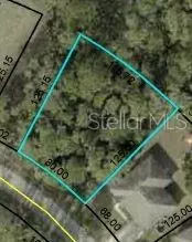 63 Seattle Trl, Palm Coast, FL 32164