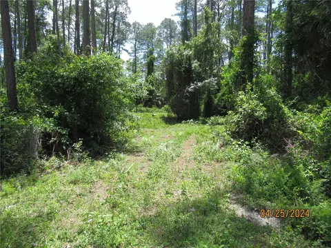 4643 Walnut Ave, Bunnell, FL 32110