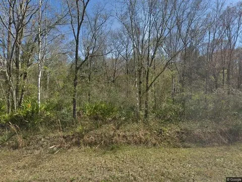 10680 Turpin Ave, Hastings, FL 32145