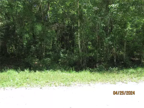 1572 Guava Ln, Bunnell, FL 32110