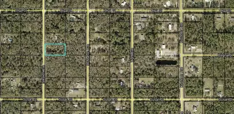 10130 Nikolich Ave, Hastings, FL 32145