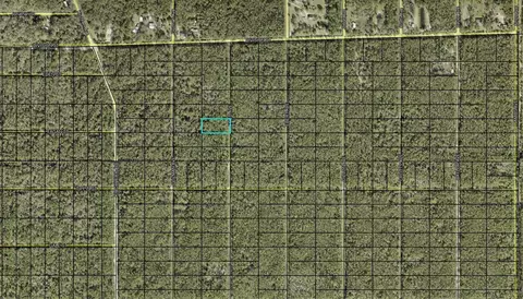 X Fred Avenue, Hastings, FL 32145