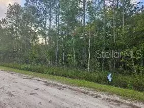 4245 Florence St, Hastings, FL 32145
